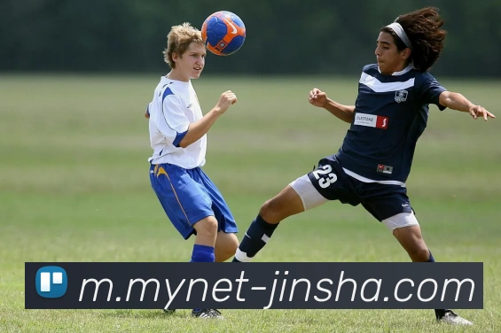 金沙娱乐APP 封面图