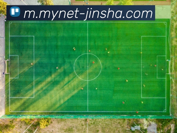 数据防护可视化